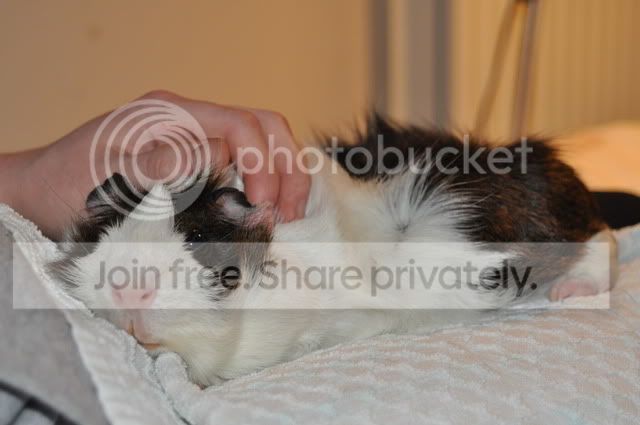DSC_00304.jpg