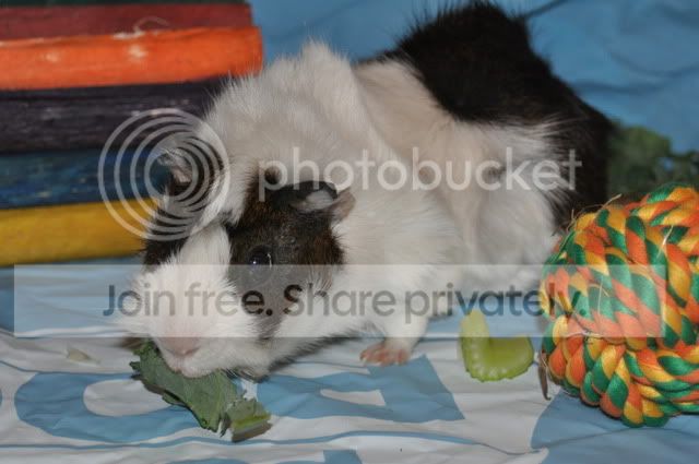 DSC_0032.jpg