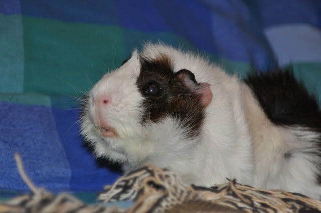 DSC_00413.jpg