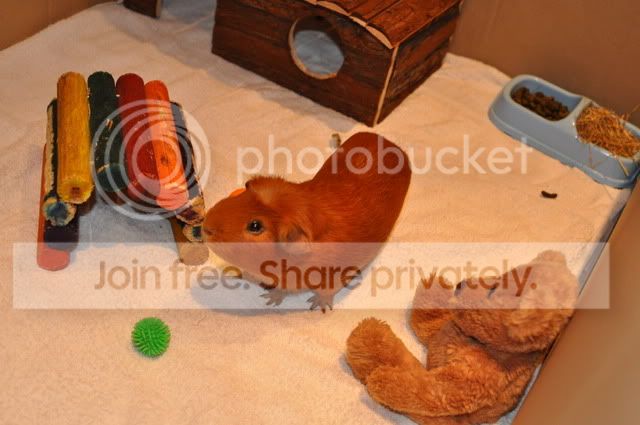 DSC_00424.jpg