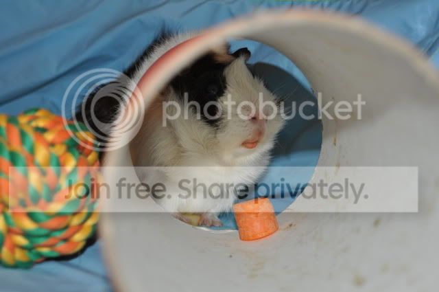 DSC_0048.jpg