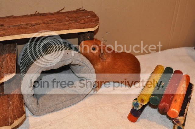 DSC_00512.jpg