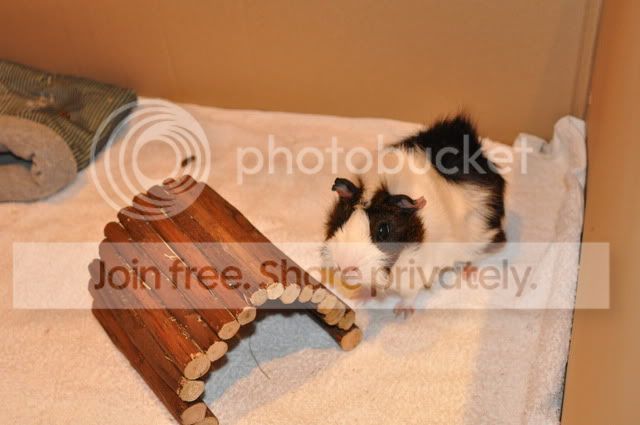 DSC_00572.jpg