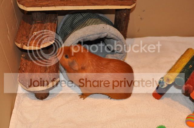 DSC_00613.jpg