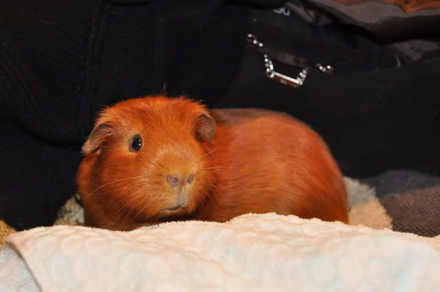 DSC_00632.jpg