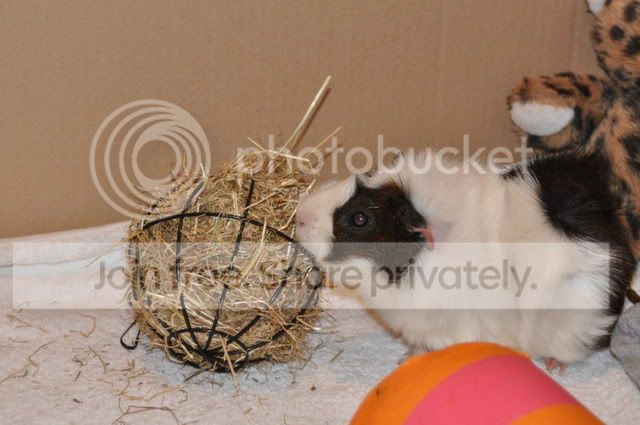 DSC_00643.jpg