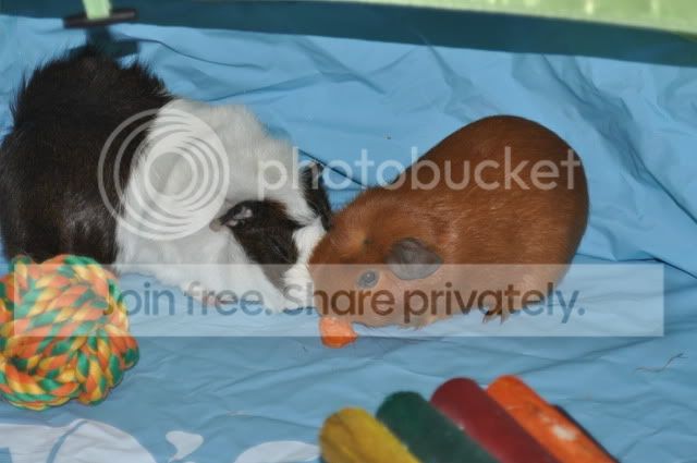 DSC_0073.jpg