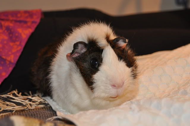 DSC_00742.jpg