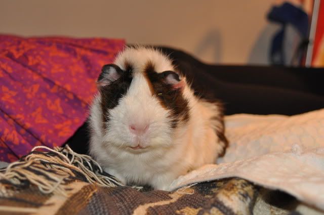 DSC_00762.jpg