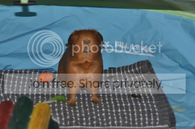 DSC_0167.jpg