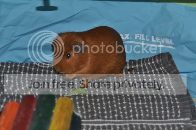 DSC_0168.jpg