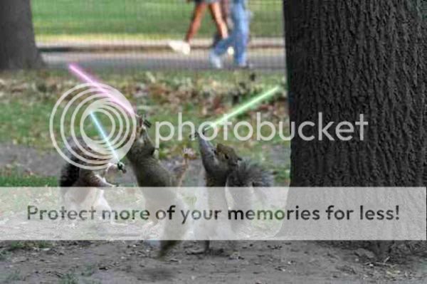 May the force be with you Jedisquirrel