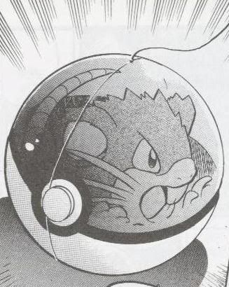 [PokeCommunity.com] Pok?mon Special Picture Posting/Sharing/Request Thread!