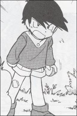 [PokeCommunity.com] Pok?mon Special Picture Posting/Sharing/Request Thread!