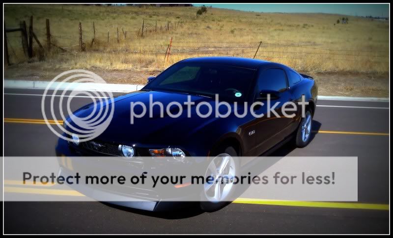 2012 Mustang GT build Mustang_2a