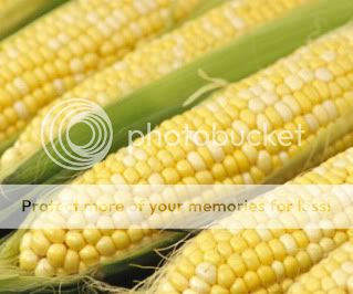 corn.jpg