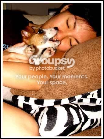 Photobucket - Video and Image Hosting