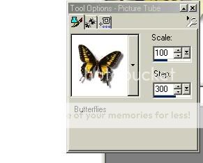 Masked Butterfly Butlove2