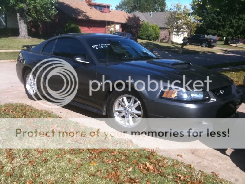 who has pictures of their car w/ in a month of buying it? Photo-6