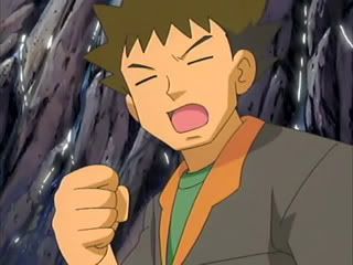 [PokeCommunity.com] The Official Brock Fan Club