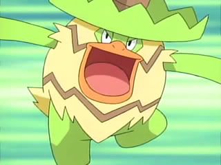 [PokeCommunity.com] The Official Brock Fan Club