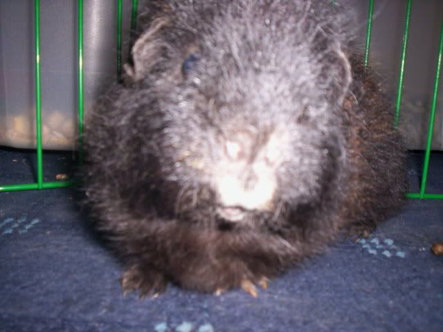 100_0620.jpg