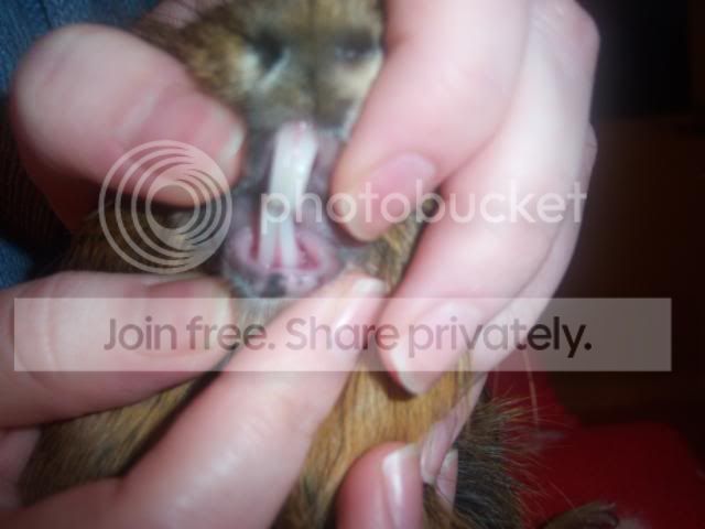 100_9344.jpg