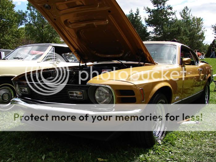 Photos expositions voitures anciennes, désoler 56K 14