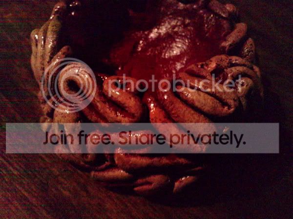 http://img.photobucket.com/albums/v238/sido59/cervo1.jpg