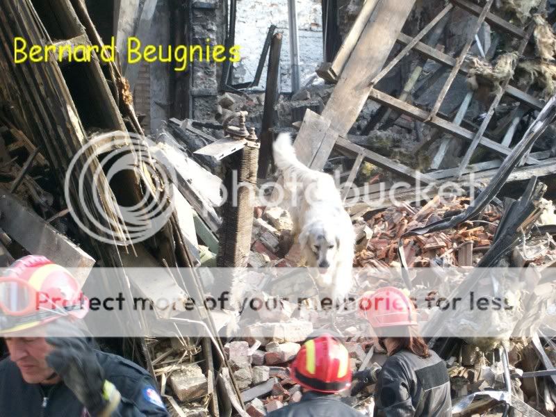 Plan kata Mons, immeuble effondre 14 juin (+ photos) - Page 2 EffondrementRueHoudain14-06-09022