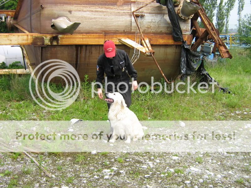Rescue Dog Belgium 26/05/2007 IMG_7727