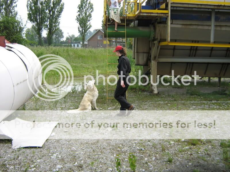 Rescue Dog Belgium 26/05/2007 IMG_7732