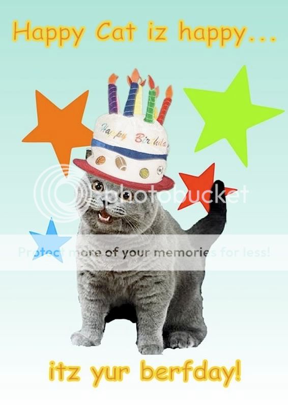 Birthday! Happy-birthday-cat