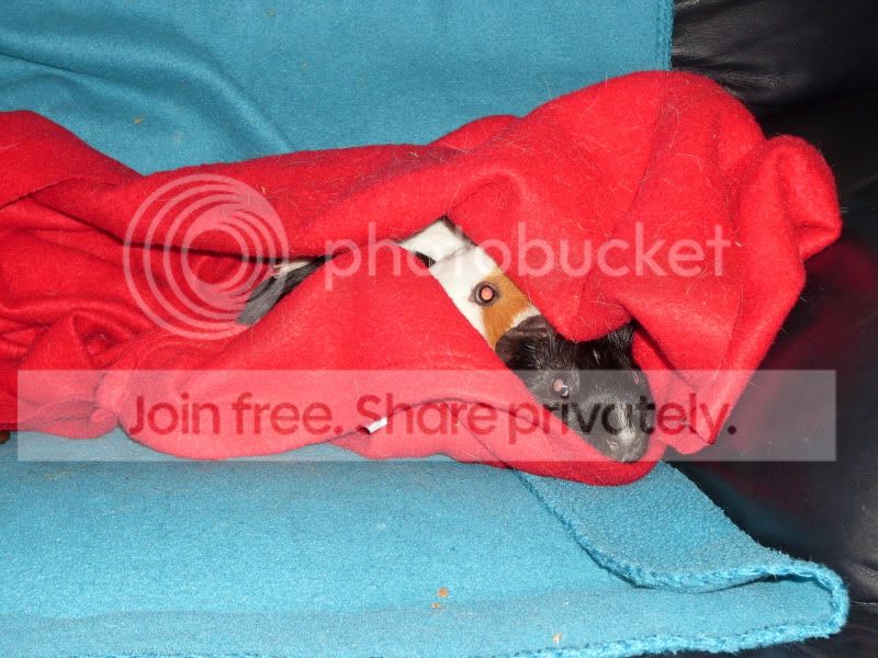 SDC17113.jpg