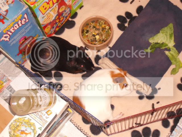 Picture026.jpg