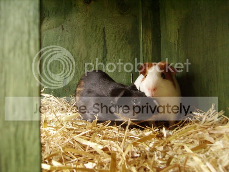 Picture067.jpg