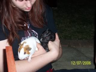 Picture084.jpg