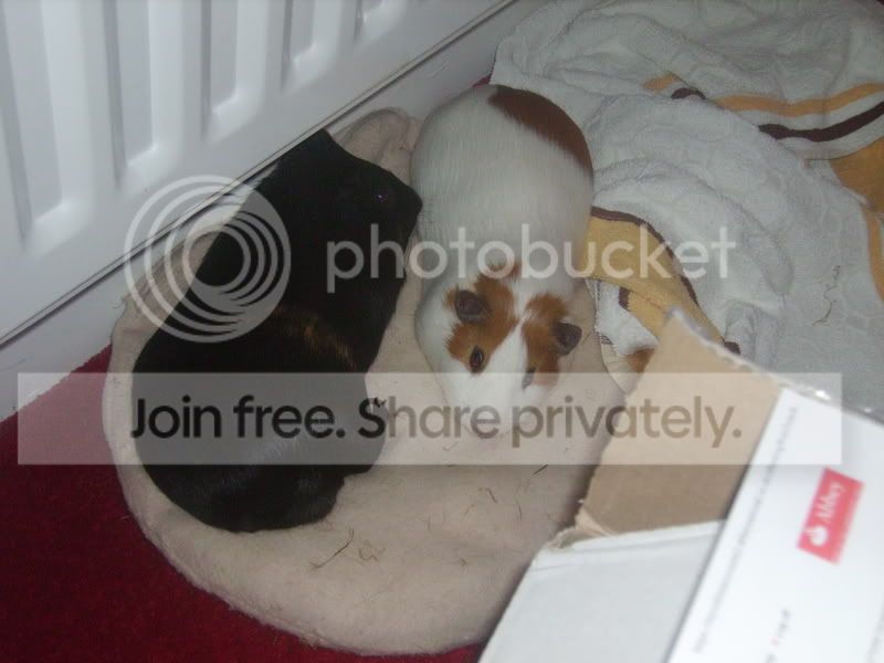 Picture158.jpg