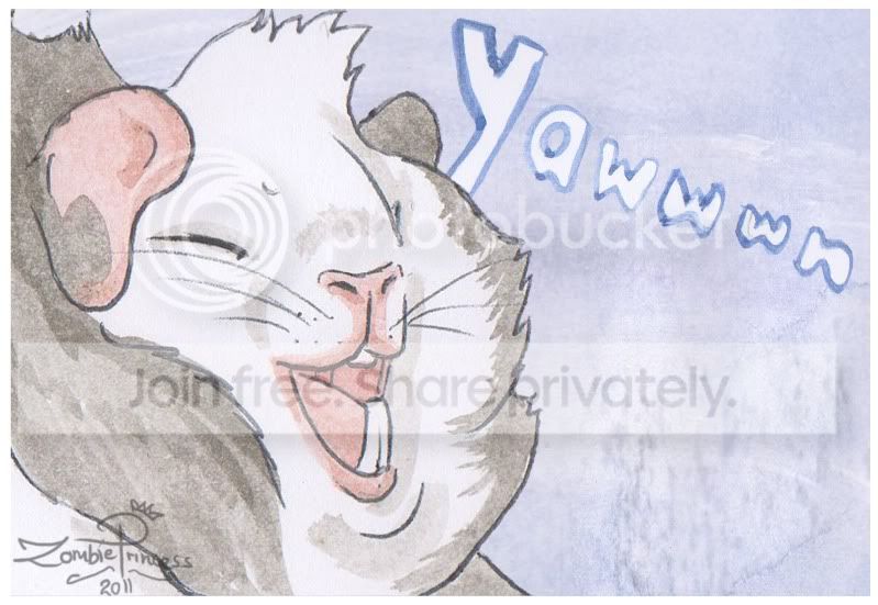 yawn2.jpg
