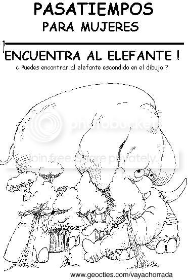 elefante.jpg