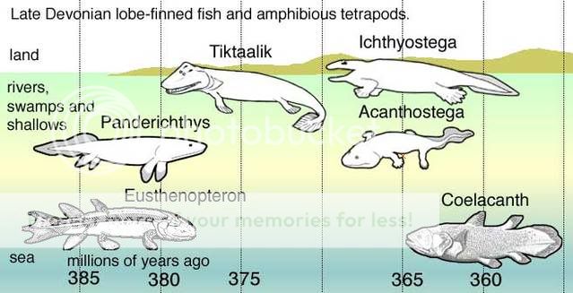 نظريه التطور Fishapods
