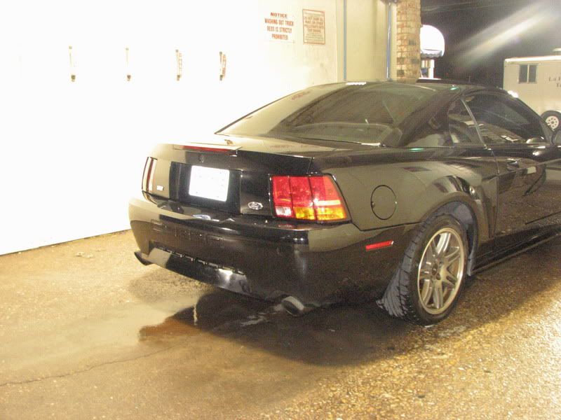 2003-2004 Ford mustangs for sale in texas #9