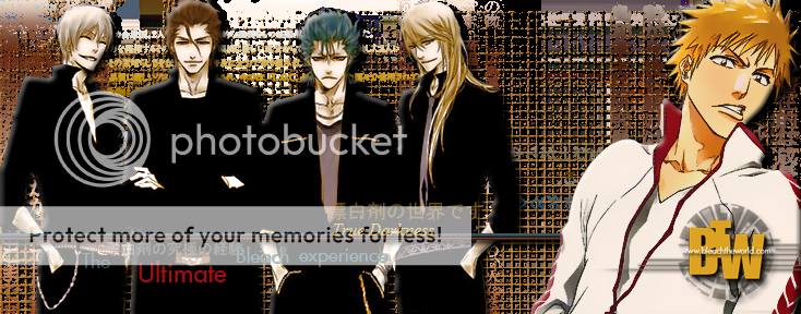 First Contest - Header Image Bleach_the_World_Banner_by_Megume