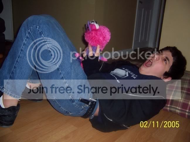 User Image