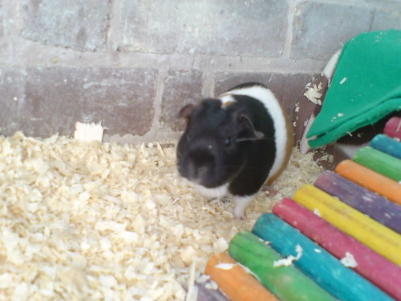DSC00134.jpg