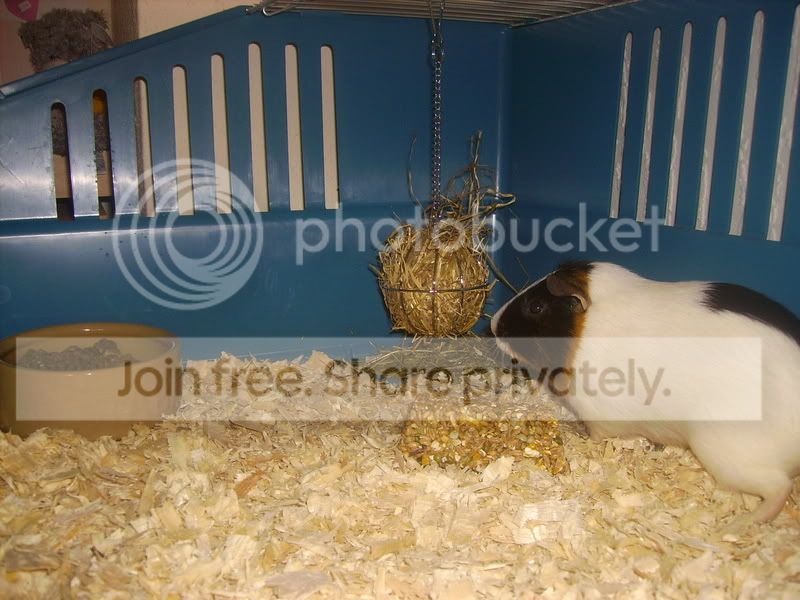 PICT0241.jpg