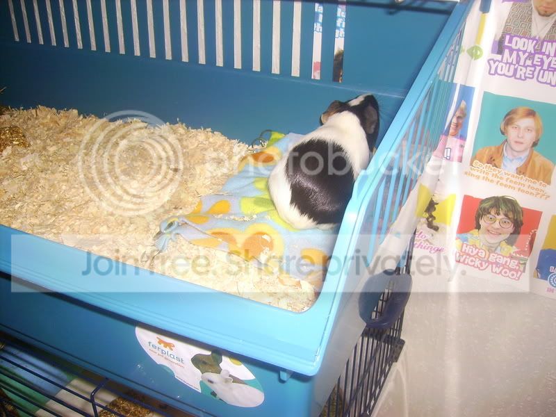 PICT0242.jpg