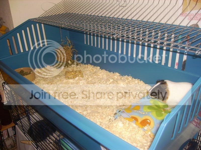 PICT0243.jpg
