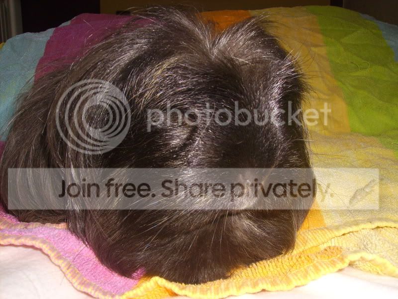 PICT0260.jpg