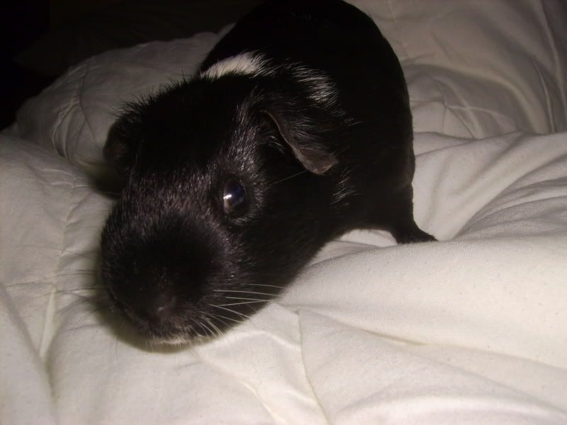 PICT0261.jpg
